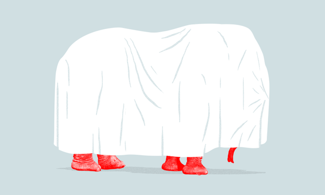 Illustration: Jim Cooke